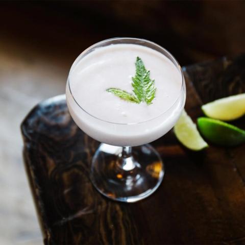THE COCKTAIL ARCHITECT