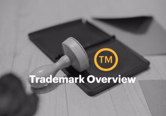 Trademark Overview
